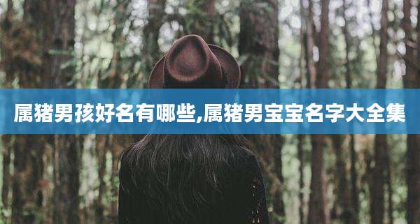 属猪男孩好名有哪些,属猪男宝宝名字大全集