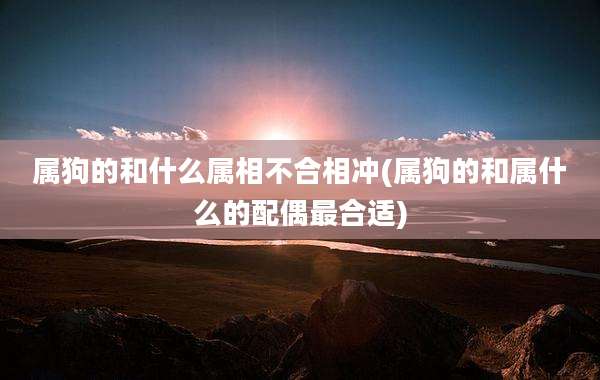 属狗的和什么属相不合相冲(属狗的和属什么的配偶最合适)
