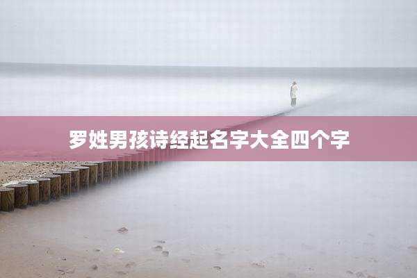罗姓男孩诗经起名字大全四个字
