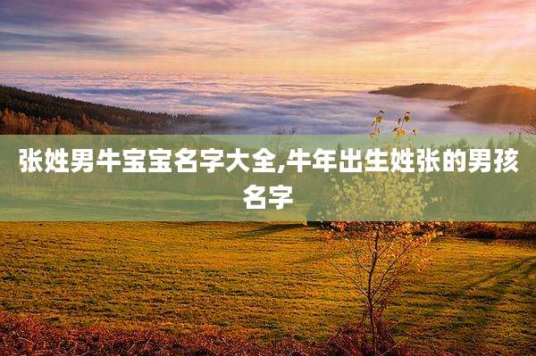 张姓男牛宝宝名字大全,牛年出生姓张的男孩名字