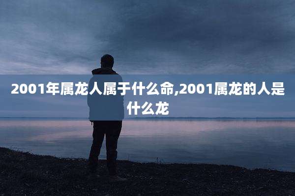 2001年属龙人属于什么命,2001属龙的人是什么龙