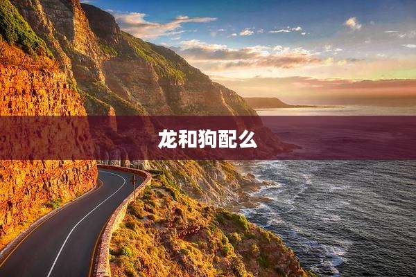 龙和狗配么