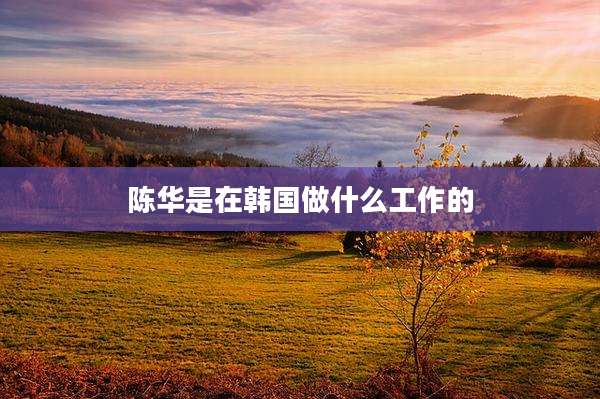 陈华是在韩国做什么工作的