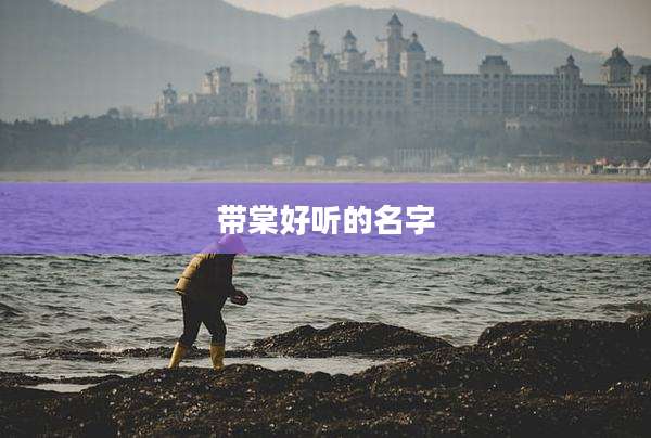 带棠好听的名字