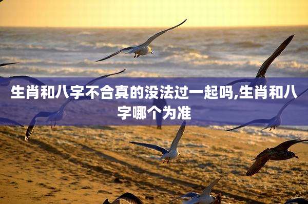 生肖和八字不合真的没法过一起吗,生肖和八字哪个为准