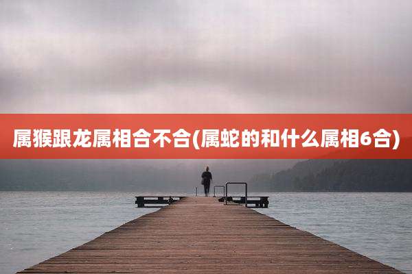 属猴跟龙属相合不合(属蛇的和什么属相6合)