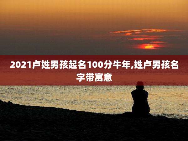 2021卢姓男孩起名100分牛年,姓卢男孩名字带寓意
