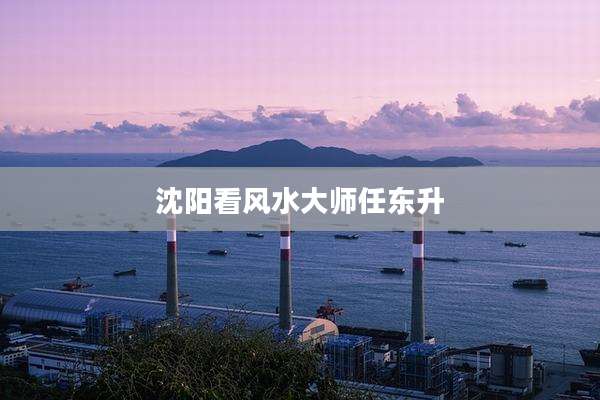 沈阳看风水大师任东升