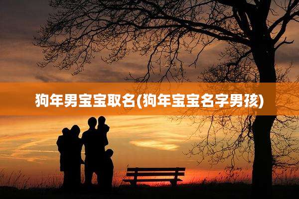 狗年男宝宝取名(狗年宝宝名字男孩)