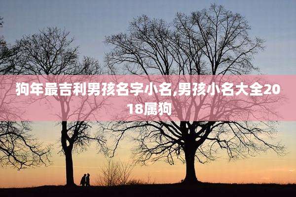 狗年最吉利男孩名字小名,男孩小名大全2018属狗