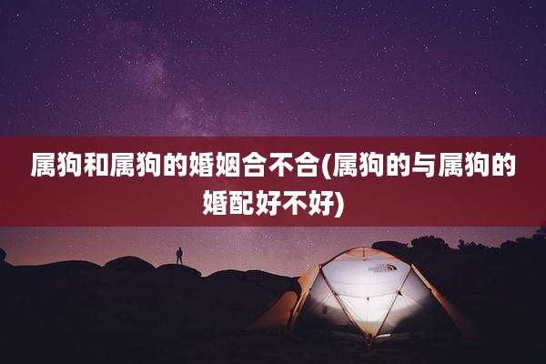 属狗和属狗的婚姻合不合(属狗的与属狗的婚配好不好)