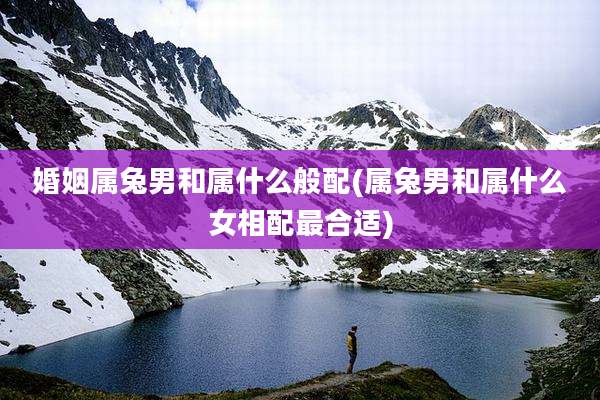 婚姻属兔男和属什么般配(属兔男和属什么女相配最合适)
