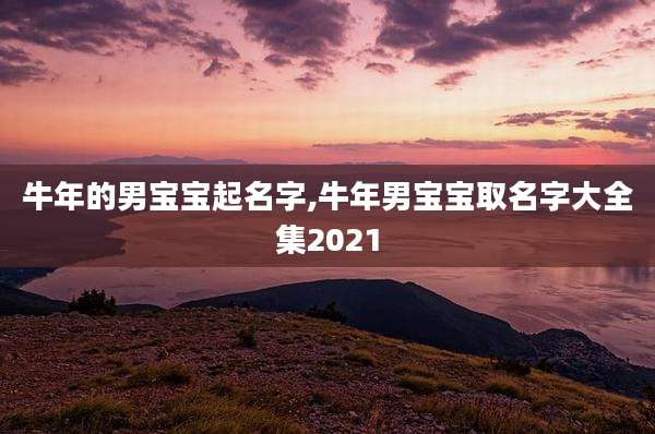 牛年的男宝宝起名字,牛年男宝宝取名字大全集2021
