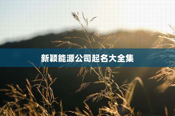 新颖能源公司起名大全集