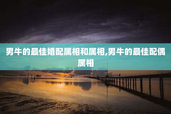 男牛的最佳婚配属相和属相,男牛的最佳配偶属相