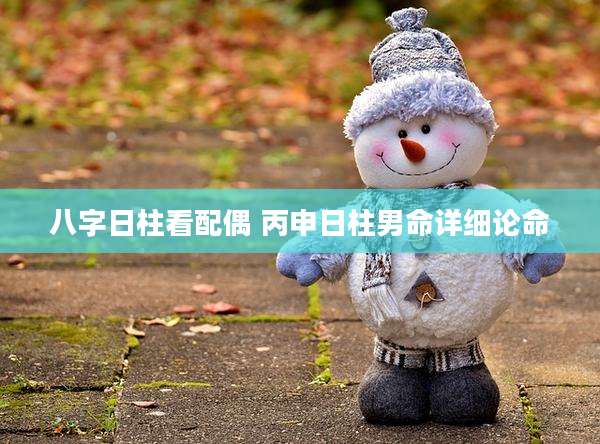 八字日柱看配偶 丙申日柱男命详细论命