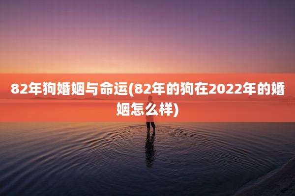 82年狗婚姻与命运(82年的狗在2022年的婚姻怎么样)