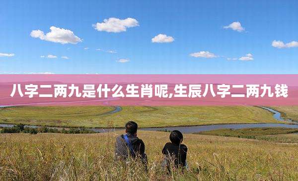 八字二两九是什么生肖呢,生辰八字二两九钱