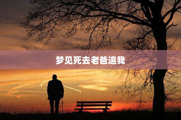 梦见死去老爸追我