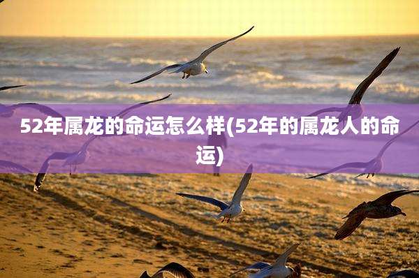 52年属龙的命运怎么样(52年的属龙人的命运)