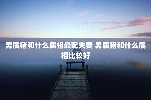 男属猪和什么属相最配夫妻 男属猪和什么属相比较好