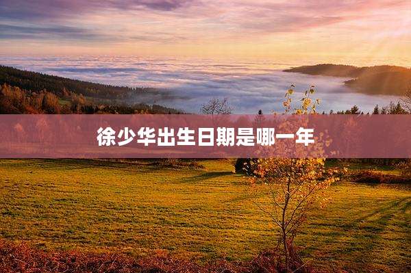 徐少华出生日期是哪一年