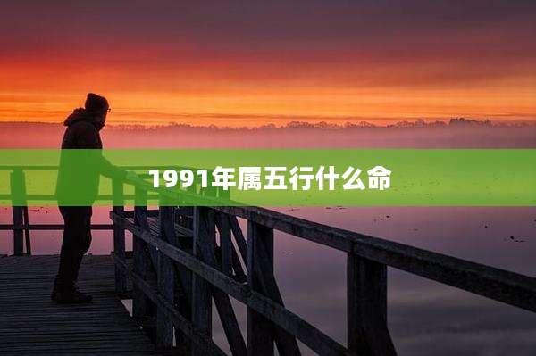 1991年属五行什么命