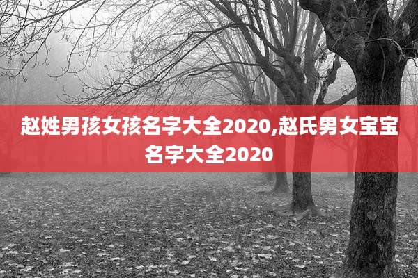 赵姓男孩女孩名字大全2020,赵氏男女宝宝名字大全2020