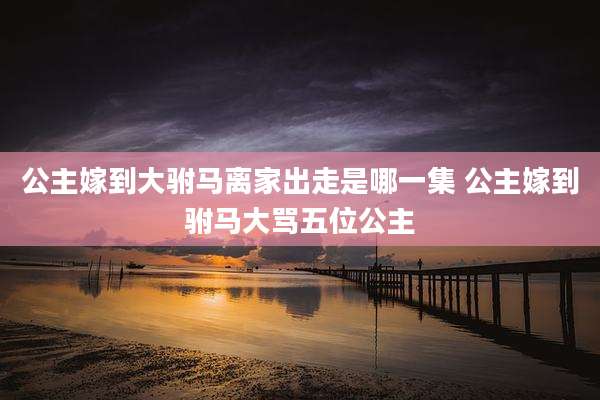 公主嫁到大驸马离家出走是哪一集 公主嫁到驸马大骂五位公主