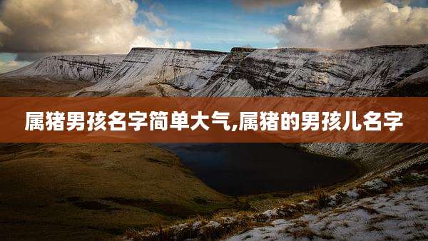 属猪男孩名字简单大气,属猪的男孩儿名字