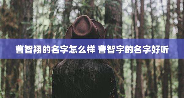 曹智翔的名字怎么样 曹智宇的名字好听