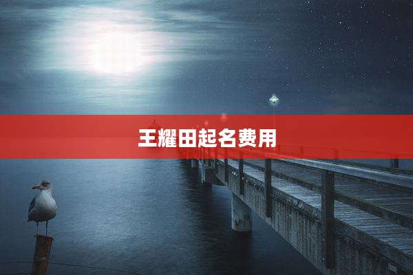 王耀田起名费用