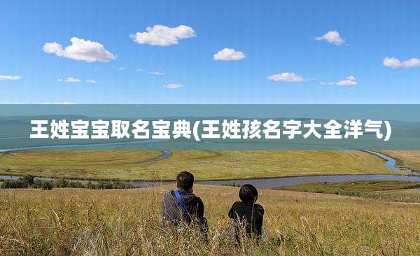 王姓宝宝取名宝典(王姓孩名字大全洋气)