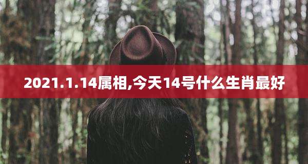 2021.1.14属相,今天14号什么生肖最好