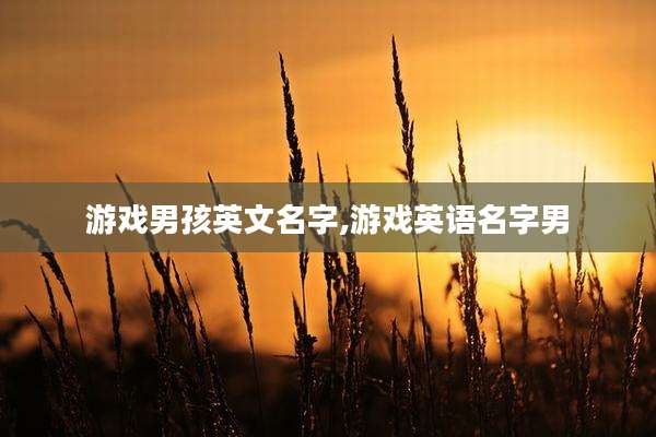 游戏男孩英文名字,游戏英语名字男