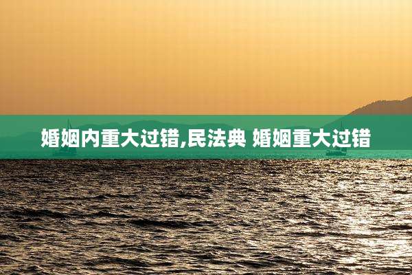 婚姻内重大过错,民法典 婚姻重大过错