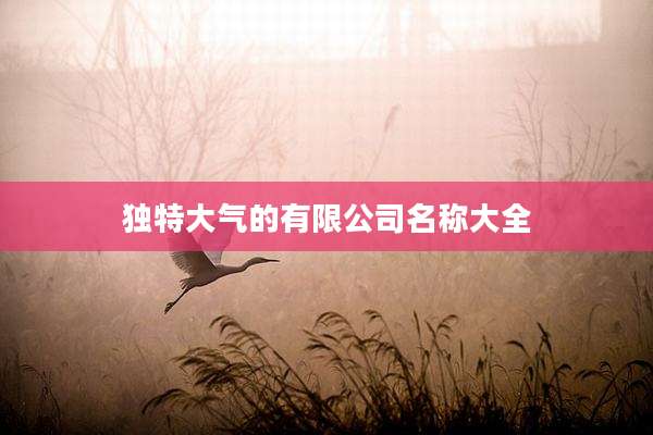 独特大气的有限公司名称大全