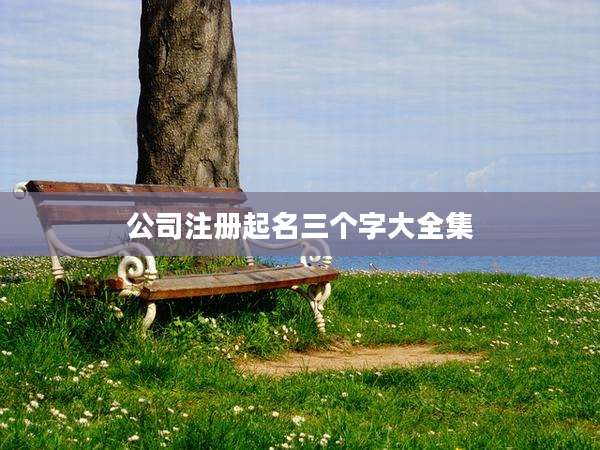 公司注册起名三个字大全集