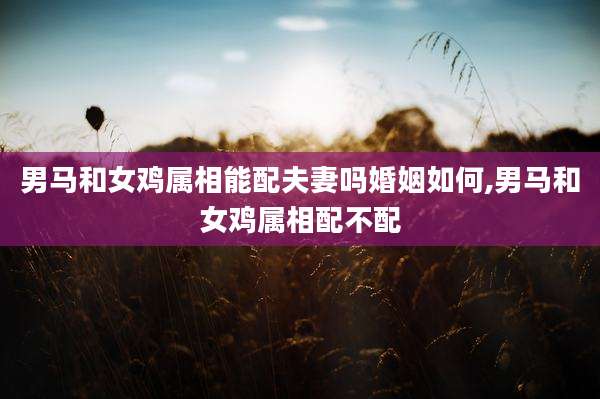 男马和女鸡属相能配夫妻吗婚姻如何,男马和女鸡属相配不配