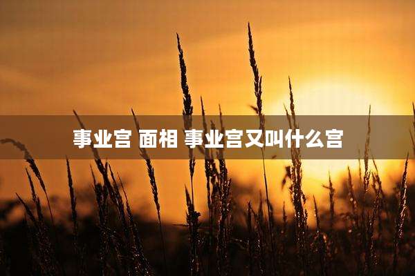 事业宫 面相 事业宫又叫什么宫