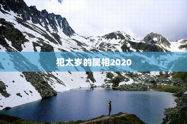 犯太岁的属相2020