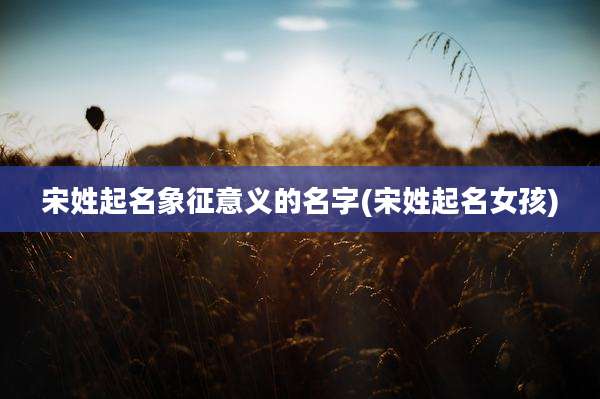 宋姓起名象征意义的名字(宋姓起名女孩)