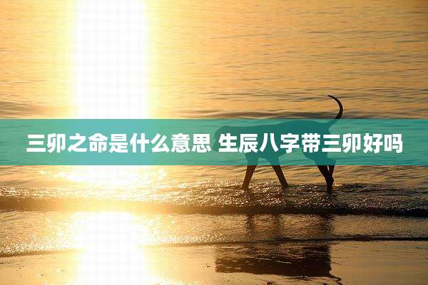 三卯之命是什么意思 生辰八字带三卯好吗