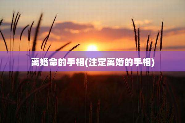 离婚命的手相(注定离婚的手相)