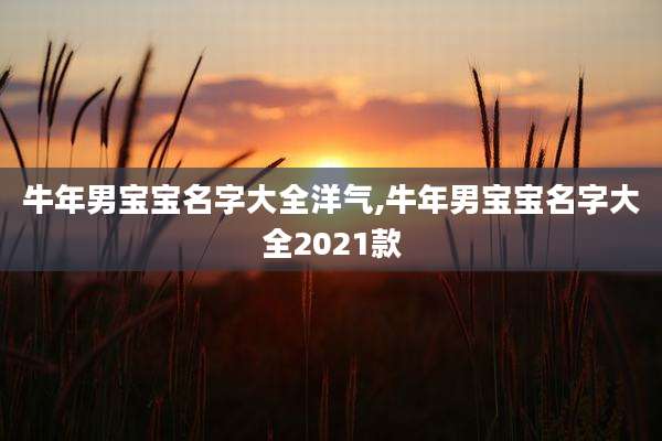牛年男宝宝名字大全洋气,牛年男宝宝名字大全2021款