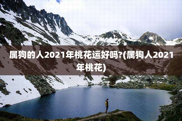 属狗的人2021年桃花运好吗?(属狗人2021年桃花)