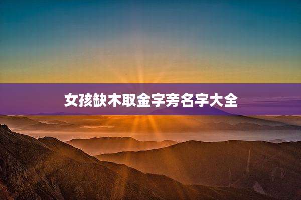 女孩缺木取金字旁名字大全
