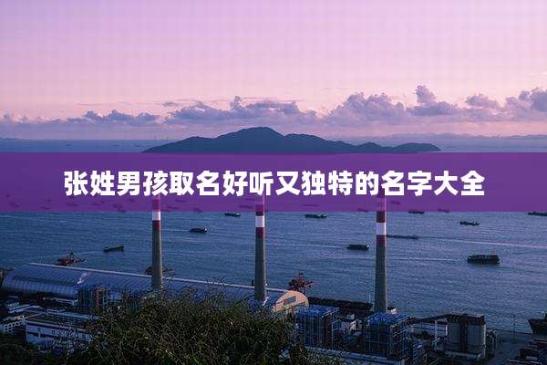 张姓男孩取名好听又独特的名字大全