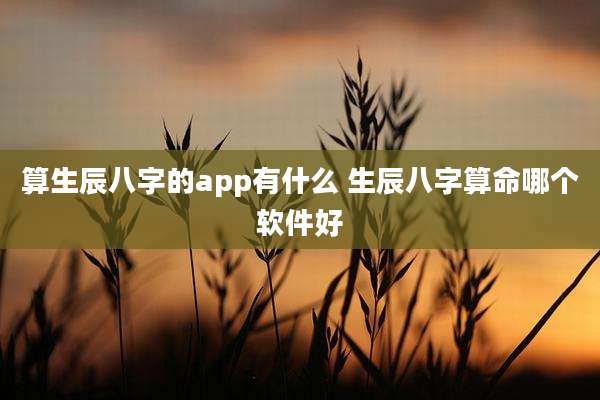 算生辰八字的app有什么 生辰八字算命哪个软件好