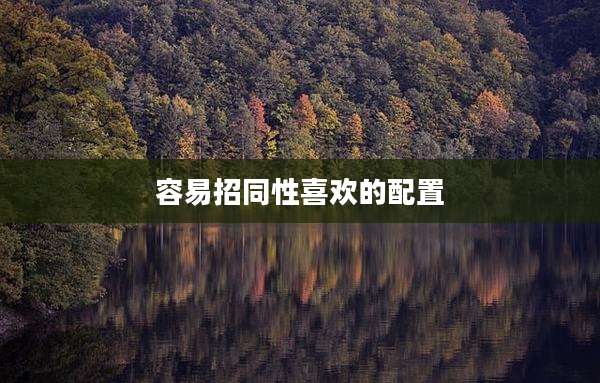 容易招同性喜欢的配置